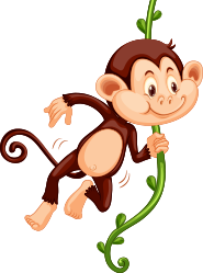 monkey